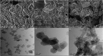 Optimal Synthesis and Evaluation of Tri-Amine Modified Ordered Mesoporous Carbon (TriFeOMC) and Its Application for the Adsorption of Arsenic and Lead From Aqueous Solution